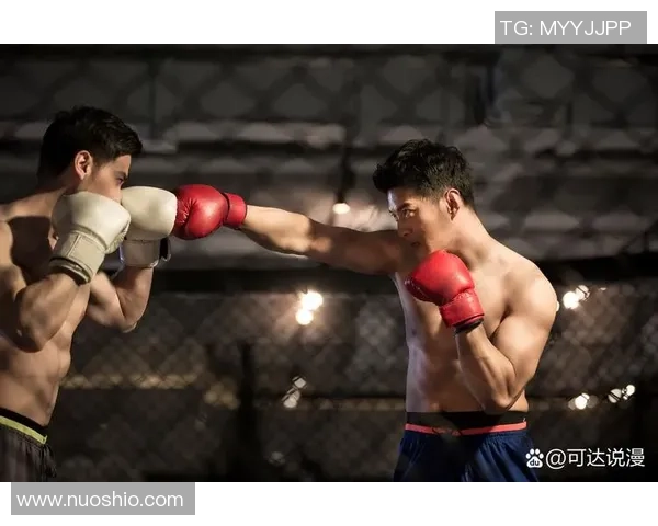 拳台依旧是搏斗运动的巅峰战场：工作拳击无可撼动的王者位置
